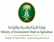 فرع وزارة البيئة والمياه والزراعة بمنطقة الباحة يطلق مبادرة تنظيف وادي سد الأحسبة