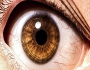 كيف تكشف “العين” عن الأمراض بجسم الإنسان؟.. طبيب يوضح