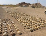 “مسام” ينتزع 1,812 لغمًا في اليمن خلال أسبوع