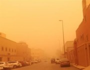 غبار وأتربة مثارة تغطي سماء العاصمة الرياض (صور)