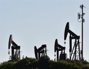 ألمانيا تعارض حظر واردات الغاز والنفط والفحم من روسيا