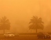 “الأرصاد”: عواصف ترابية وتقلبات جوية على معظم مناطق المملكة بدءًا من الغد