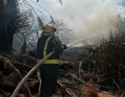 في وجود شبهة جنائية.. الدفاع المدني يسيطر على حريق مَزارع بعدة مواقع بدومة الجندل (صور)