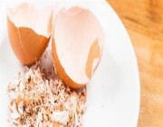 ما هي فوائد ومخاطر تناول قشر البيض على الجسم؟