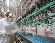 “الغذاء والدواء” ترفع الحظر المؤقت على استيراد لحوم الدواجن ومنتجاتها من تايلند