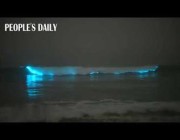 “الأمواج الزرقاء” ظاهرة غريبة في أحد شواطئ جنوب الصين يعتقد أن سببها الطحالب