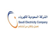 “السعودية للكهرباء”: بدء إيصال الخدمة الكهربائية لمخطط عريض في الرياض الأسبوع المقبل