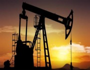 “الطاقة الدولية”: ضغوط الأسواق لن تخفف بزيادة إمدادات النفط