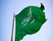المملكة تعلن تأسيس الشركة السعودية القابضة للطاقة النووية