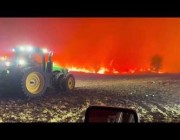 النيران تلتهم أكثر من 4 آلاف فدان من المحاصيل الزراعية في تكساس