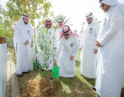 جامعة القصيم تستهدف زراعة 15 ألف شجرة في المرحلة التاسعة لحملة “أرض القصيم خضراء”