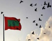 “جزر المالديف” تدين استهداف المليشيات الحوثية منشآت اقتصادية ومدنية في المملكة