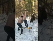 دب يلهو بجوار رجلين يتدربان في غابة بروسيا