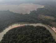 دراسة: غابات الأمازون تقترب من تغييرات لا يمكن تداركها