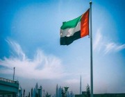 ‏الإمارات تتسلم رئاسة الدورة الحالية لمجلس الأمن الدولي