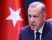 أردوغان: نعبر عن اهتمامنا باستقرار منطقة الخليج وندين الاعتداءات على المملكة