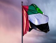الإمارات تدين إحراق متطرفين في السويد نسخاً من القرآن الكريم