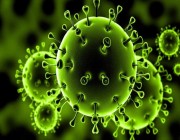 الجزائر تسجل 5 إصابات جديدة بفيروس كورونا