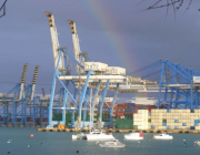 حركة التجارة والسفر تتعرض للاضطرابات في أكبر ميناء بريطاني