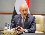 رئيس مجلس القيادة الرئاسي اليمني يصل الإمارات في زيارة رسمية