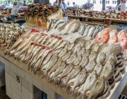 شهر رمضان ينعش سوق الأسماك في تبوك
