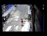 قرد يهاجم طفلًا في الصين ويحاول خطفه