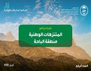 مركز الغطاء النباتي يصدر العدد الرابع من نشرة برنامج المتنزهات الوطنية في منطقة الباحة