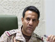 التحالف: إدعاءات الحوثيين باستهدافنا منطقة الرقو الحدودية “عارٍ من الصحة”