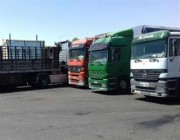 “النقل” تطلق مبادرة لاستيفاء الحد الأدنى من عدد الشاحنات المطلوب في نشاط نقل البضائع