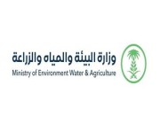 “البيئة” تحصل على جائزة الجهة الحكومية الأفضل في قطاع المياه للعام 2021 حول العالم