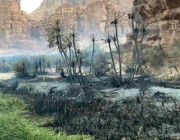 حريق محدود في أشجار وادي الديسة بتبوك.. والدفاع المدني يسيطر عليه