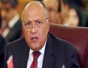 مصر توافق على تسيير رحلات جوية بين صنعاء والقاهرة