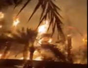 حريق في بعض نخيل وادي الديسة.. والدفاع المدني يباشر (فيديو)