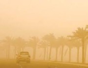“الأرصاد” توضح مصادر الغبار المؤثر في أجواء المملكة خلال فصول السنة