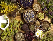 4 أعشاب لتحسين التنفس وتنظيف الرئة