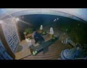 أمريكية تساعد كلبها للدخول إلى المنزل هرباً من دب ضخم في جورجيا