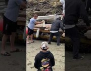إنقاذ فقمة علقت بين أخشاب قارب في أحد شواطئ كندا