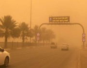 الأربعاء المقبل.. عقد تجمع دولي في جدة لبحث مجابهة العواصف الغبارية