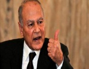 الأمين العام للجامعة العربية يدين هجوماً على غرب سيناء