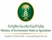 “البيئة: رصد 633 مخالفة ومصادرة 10 أطنان لحوم وخضروات وفواكه بأسواق النفع العام والمسالخ