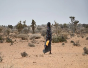 الجفاف في القرن الإفريقي يهدد 20 مليون شخص بالمجاعة