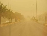 العراق.. ارتفاع عدد حالات الاختناق إلى أكثر من 1000 بسبب عاصفة ترابية
