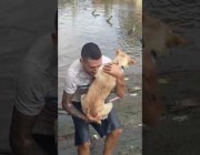 رجل يسبح في مياه الفيضانات لإنقاذ كلب من الغرق بالبرازيل