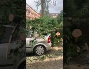 سقوط أشجار على عدد من المركبات إثر إعصار في ألمانيا
