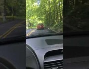 سيارة تنحرف عن مسارها وتنقلب بعد اصطدامها بأشجار