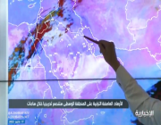 فيديو.. «مختص بالأرصاد» يكشف عن حركة العاصفة الغبارية خلال الساعات المقبلة