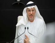 قرقاش: الإمارات مقبلة على مرحلة تطور جديدة بزعامة الشيخ محمد بن زايد