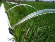 مؤسسة الري: المياه المجددة من الصرف الصحي أفضل للمحاصيل من الجوفية