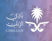 نادي الإبل يختتم فعالياته بمناسبة عيد الفطر