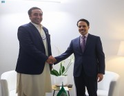 وزير الخارجية يلتقي وزير خارجية باكستان